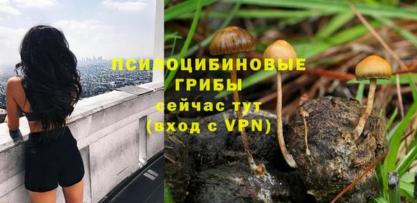 соль курить ск Аркадак